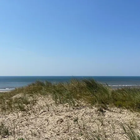 Lovely In With Wifi Holiday home Noordwijk